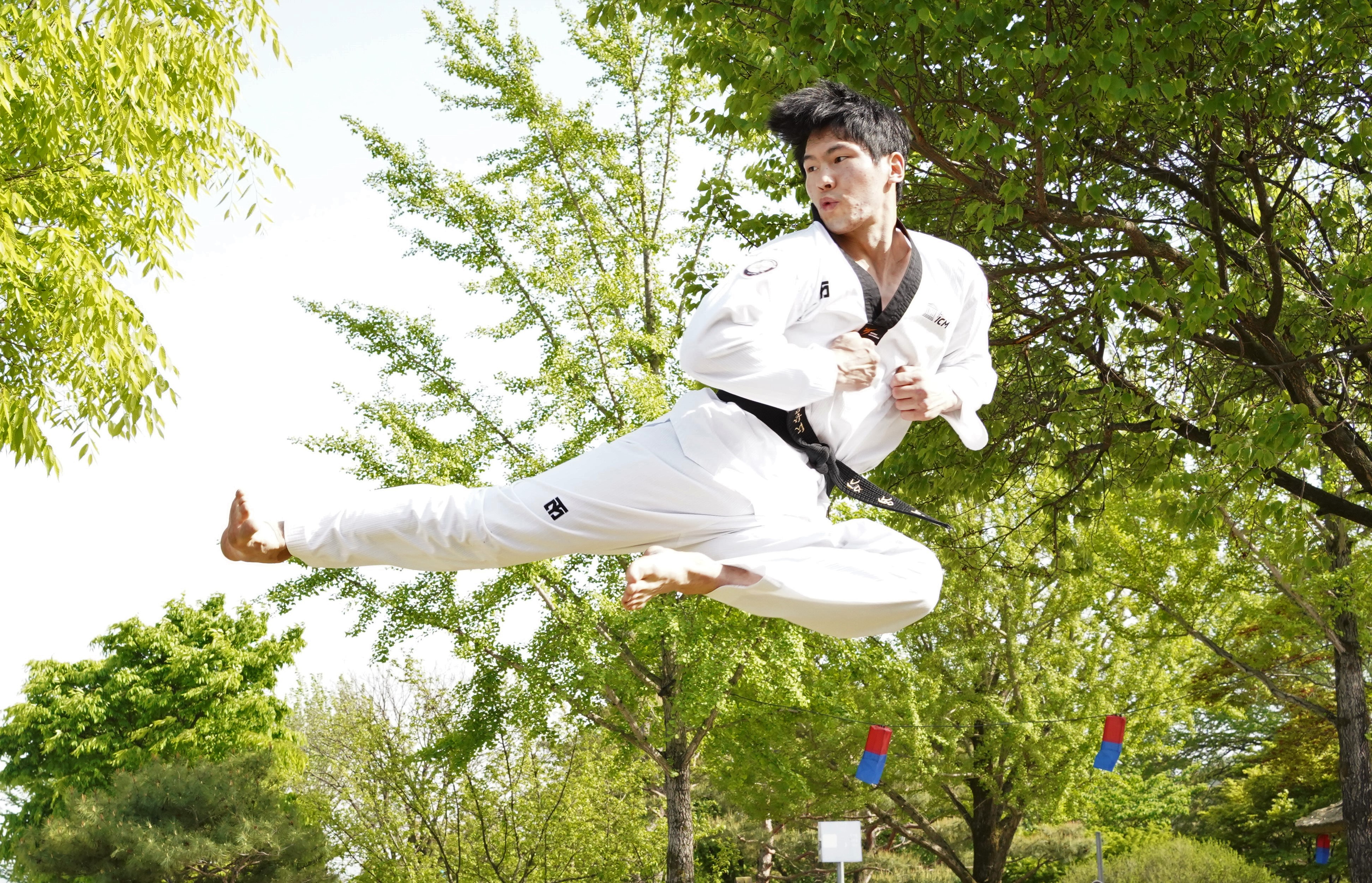 2. Taekwondo