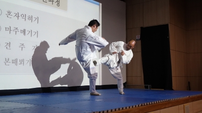 2017 International Martial Arts Seminar_ Taekkyeon(Korea)