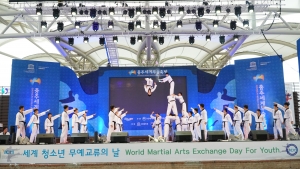 World Martial Arts Exchange Day for Youth_Martial Arts Demonstration Taekwondo 