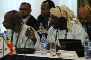 제1회 아프리카 무예 관계자 회의